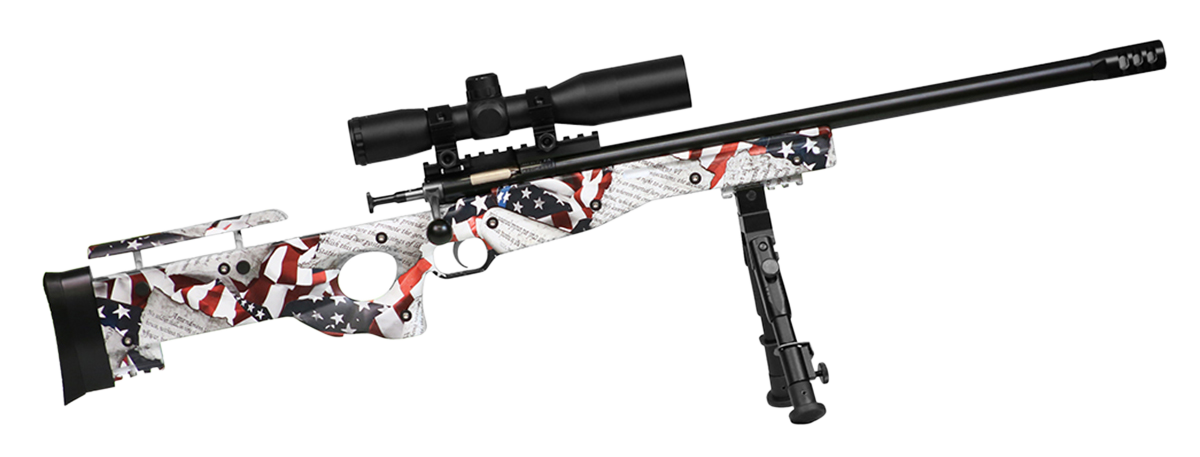 Primary Arms